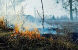 Zagrożenie nie tylko dla ludzi