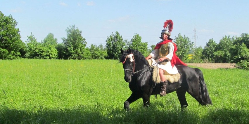 Tłumy na Święcie Konia w Siedlcu Trzebnickim (ZDJĘCIA)