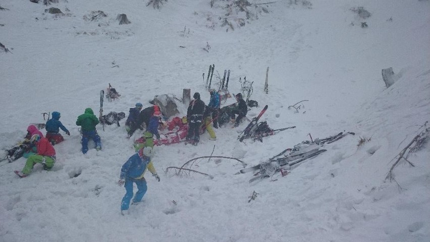 Słowackie Tatry. Polscy narciarze przygnieceni przez drzewo [ZDJĘCIA]