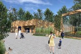 Zoo Opole. Ruszyła budowa wybiegu dla lwów i tygrysów. Ogród chce też całkiem zrezygnować z ogrzewania węglowego [WIZUALIZACJE, ZDJĘCIA]