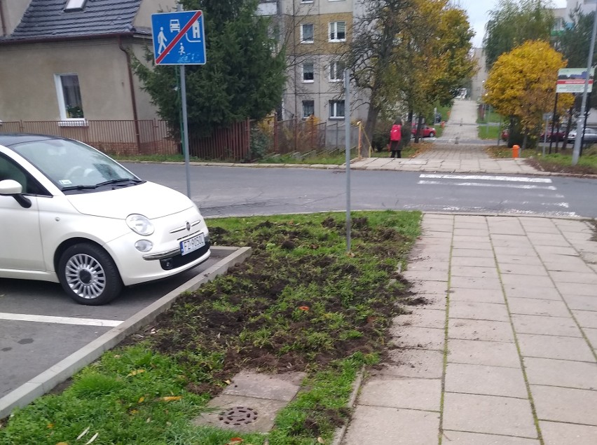 W różnych miejscach Zielonej Góry mieszkańcy znajdują ślady...