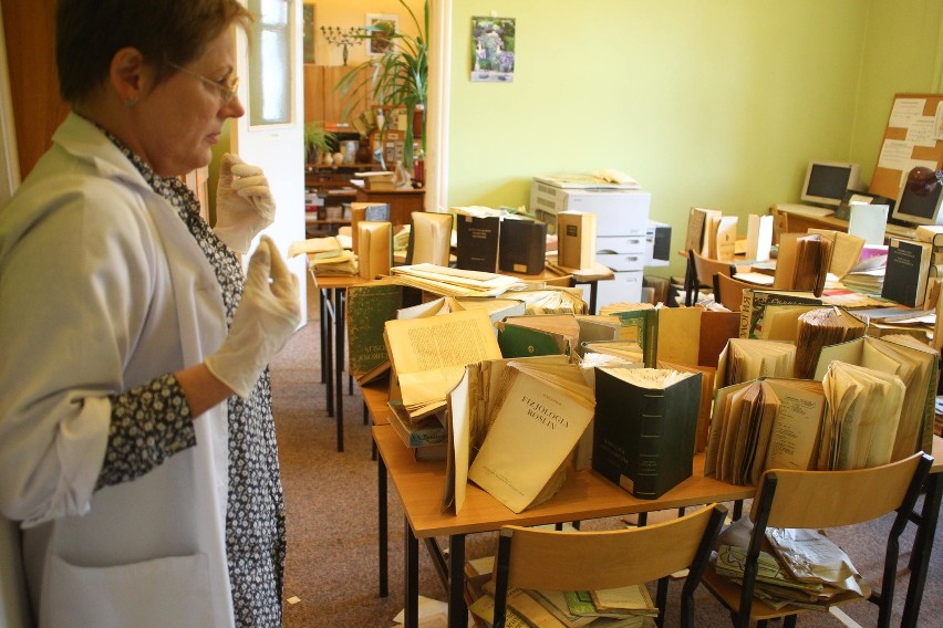 Biblioteka na Ogrodach pod wodą po raz ósmy. Podtopili ją...