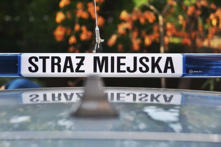Poznańska straż miejska odebrała nowy radiowóz – elektryczny...