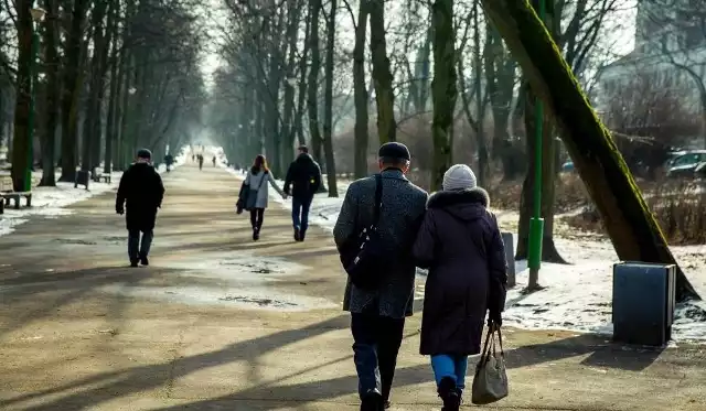 Jeżeli odkładanie pieniędzy Pracowniczych Planach Kapitałowych (PPK) ma być masowe, to powinni nim być zainteresowani zarówno pracobiorcy jak i pracodawcy