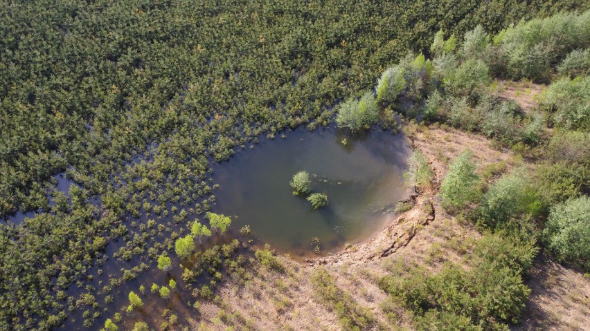 Prawdopodobnie pierwsze zapadlisko w powiecie olkuskim,...