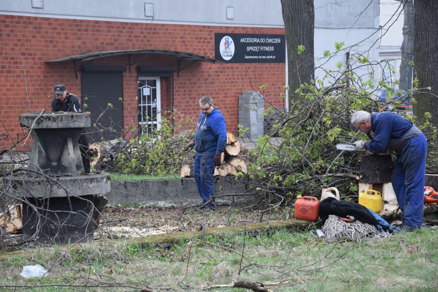 Rybnik: Wycięli park przy dawnym kinie Hutnik