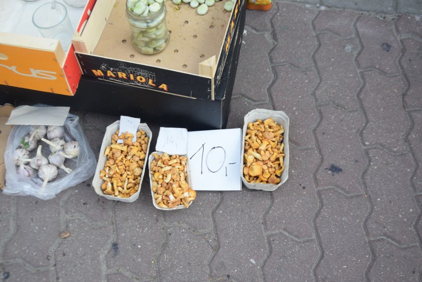 Na targowisku w Korej w Radomiu znowu sprzedawano grzyby. Najwięcej było kurek. W jakie cenie? Zobacz zdjęcia