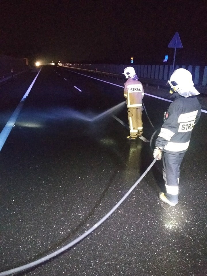 Powiat myślenicki. Uwaga, dziki na drogach! Od soboty doszło już do trzech kolizji z udziałem zwierząt i samochodów