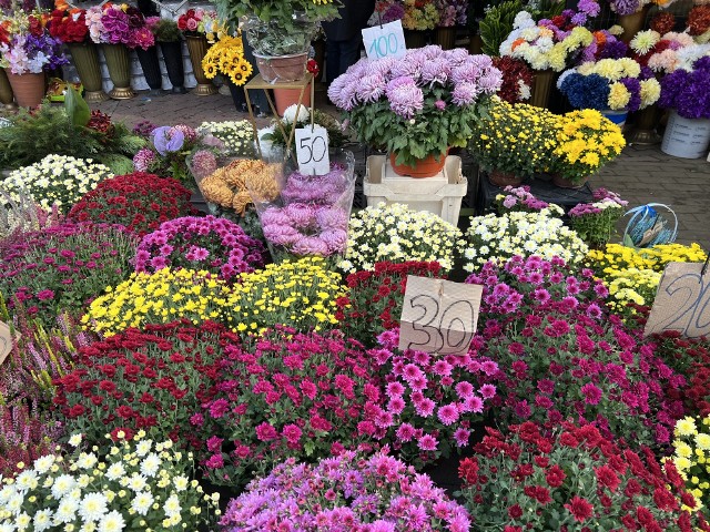 Znicze i kwiaty kupimy przed cmentarzem przy ul. 11 Listopada w Dąbrowie GórniczejZobacz kolejne zdjęcia/plansze. Przesuwaj zdjęcia w prawo naciśnij strzałkę lub przycisk NASTĘPNE