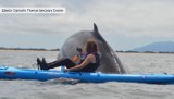 Bliskie spotkanie z 12-metrowym wielorybem (wideo)