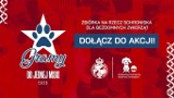 "Gramy do jednej miski". Wisła Kraków współorganizuje akcję dla zwierząt z krakowskiego schronika. Potrwa ona do 22 października 