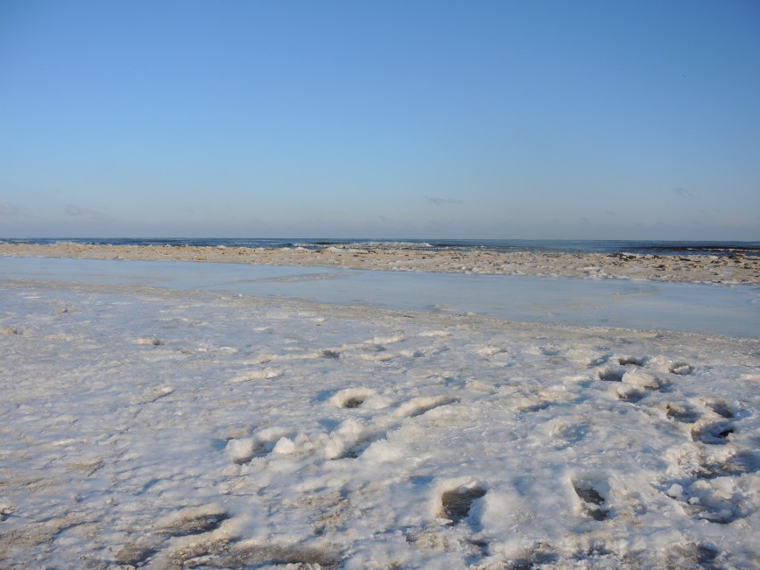 Lód, wiatr i morze. Zobaczcie piękne zimowe zdjęcia Świnoujścia