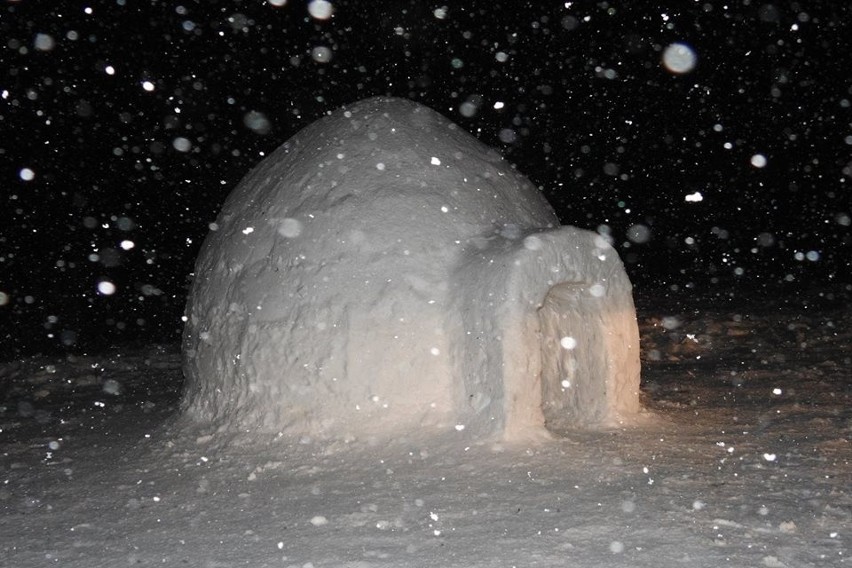 Mężczyzna buduje igloo w Karkonoszach (ZOBACZ)