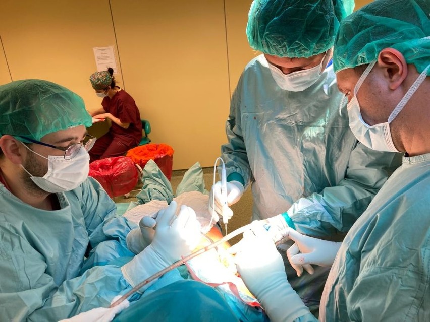 Skomplikowane operacje miednicy wykonywane są w Wojewódzkim Szpitalu Zespolonym w Kielcach. To jedne z najtrudniejszych zabiegów (ZDJĘCIA)
