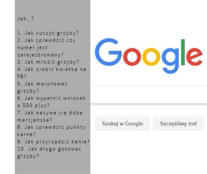 Czego Polacy szukali w wyszukiwarce Google w 2017?