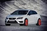 Seat Leon Cupra 280 w poprawionej wersji 