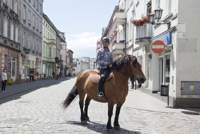 Mariusz Kujawski, były olimpijczyk i reprezentant Polski w kajakarstwie, dziś oddaje się pasji jeździectwa.