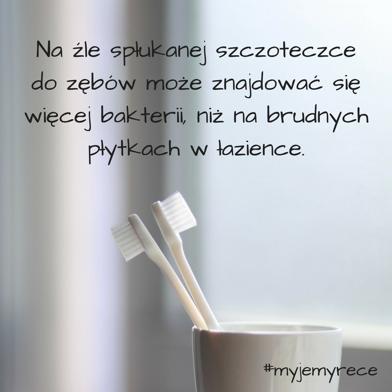 Na których przedmiotach codziennego użytku znajduje się najwięcej bakterii? Odpowiedzi zaskakują [ZDJĘCIA]