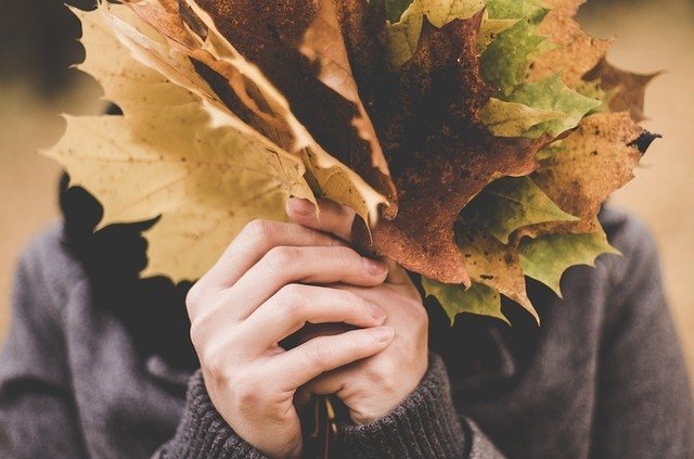 Pierwszy dzień jesieni 2018. Równonoc jesienna. Kiedy zaczyna się jesień  astronomiczna, a kiedy kalendarzowa? | Kurier Poranny
