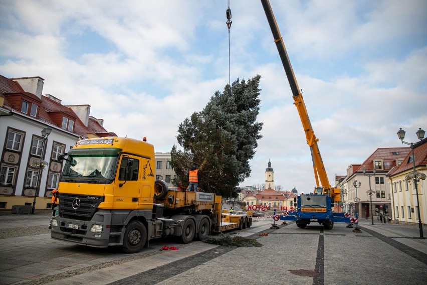 Białystok 2020 rok. Ustawianie choinki na Rynku Kościuszki