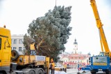 Białystok. Miasto przymierza się do sezonu świątecznego. Szuka chętnego do opieki nad choinką na Rynku Kościuszki