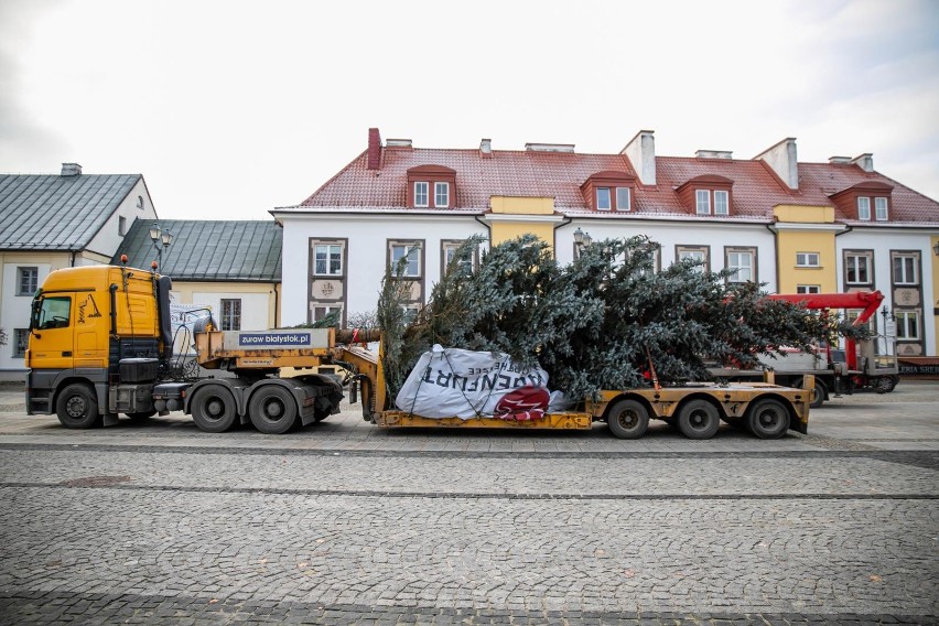 Białystok 2020 rok. Ustawianie choinki na Rynku Kościuszki