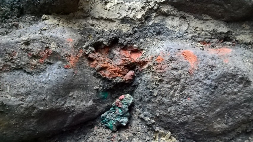 Archeologiczne odkrycie w Kamieniu Pomorskim. Zobacz, co znaleźli badacze