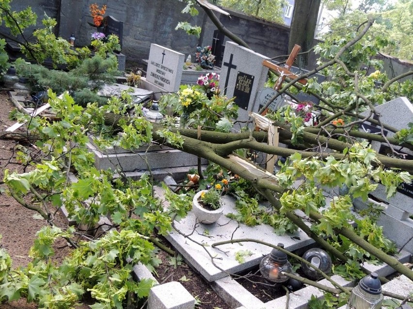 Skutki wichury w Toruniu. Zniszczenia na cmentarzu [zdjęcia]