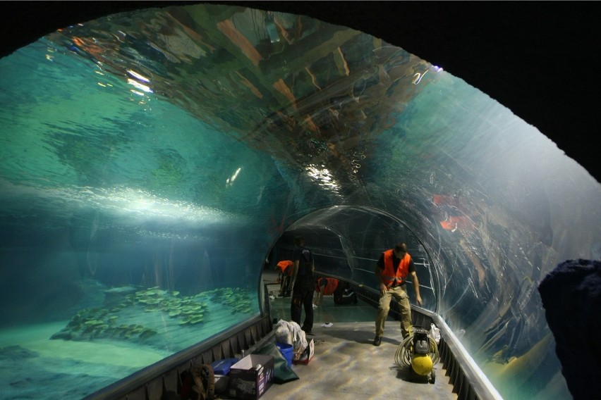 Afrykarium we wrocławskim zoo już niemal gotowe