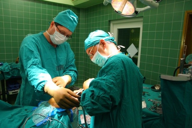 - To zasługa całego zespołu lekarsko-pielęgniarskiego - mówi dr Jan Wojciech Danel (z prawej). Na zdjęciu z dr.  Mariuszem Paksem przeprowadza zabieg wszczepiania endoprotezy stawu kolanowego.