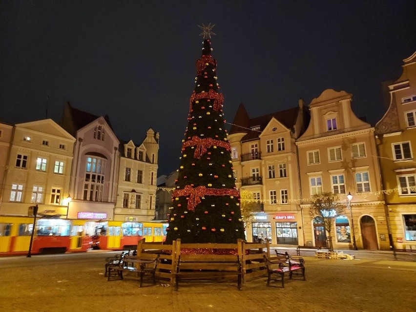 Choinka już stanęła na Rynku w Grudziądzu. Będzie tu do...