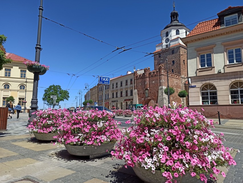 Nowe kompozycje kwiatowe ozdobią Lublin. A to ciągle nie koniec zmian na ten rok  