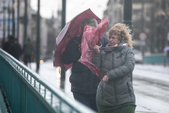 W poniedziałek w godzinach popołudniowych mieszkańcom Bydgoszczy i okolic może dokuczać silny wiatr.