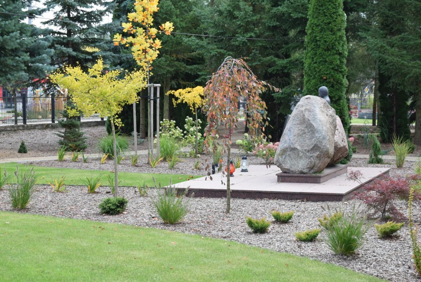 Kadzidło. Arboretum i boiska do siatkówki plażowej powstają przy szkole w Kadzidle. 5.10.2021. Zdjęcia