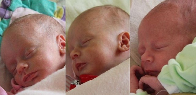 Adrianka, Aleksandra i Marcel trzy tygodnie temu urodziły się w szpitalu w Kielcach.