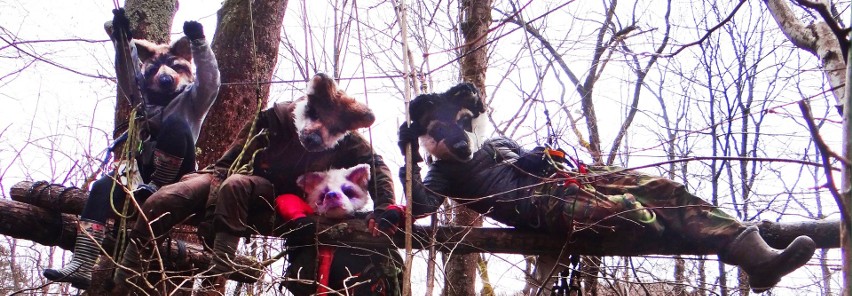 "Wilczyce" mieszkają w lesie i blokują wycinkę drzew w Bieszczadach [ZDJĘCIA]