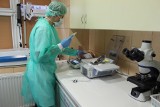 Katowice: Szpital SUM wdraża terapię CAR-T. Przełomowa w leczeniu nowotworów hematologicznych metoda dostępna dla pacjentów od października
