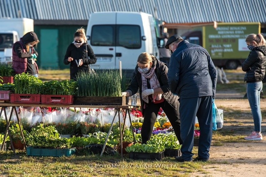 Myszyniec. Targowisko znów otwarte. Przy bramach wejściowych ustawiają się kolejki osób, 30.04.2020. Zdjęcia