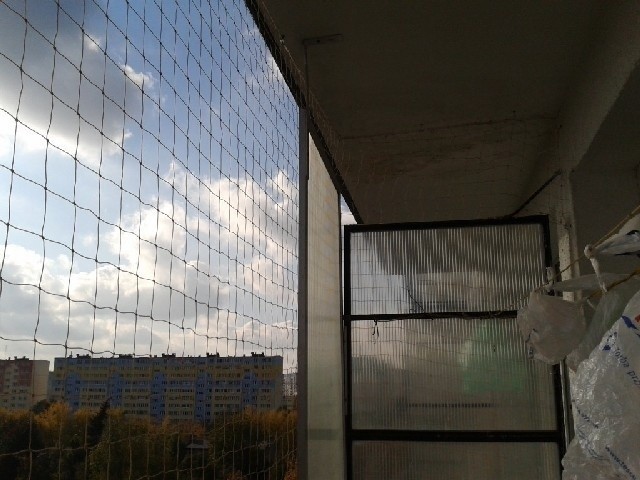 Na balkonach najskuteczniejsza jest siatka.