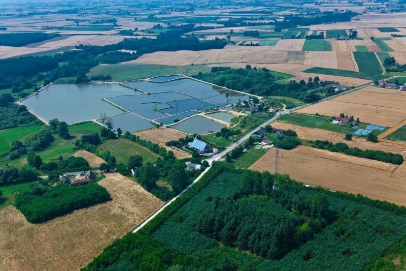 Wykonaj pierwszy krok, weź udział w zajęciach -  zachęca  Stowarzyszenie Chwytaj Dzień 