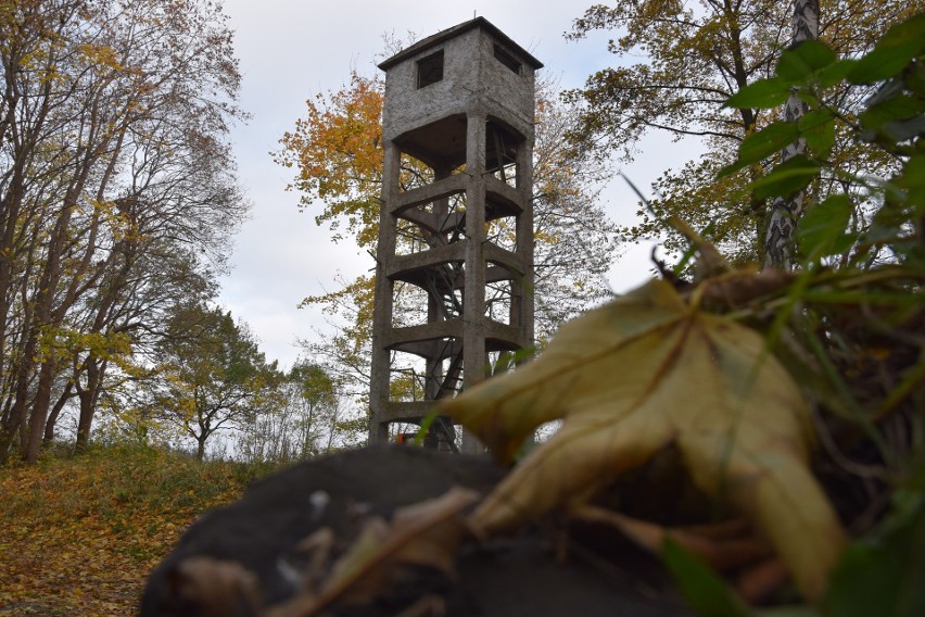 Westerplatte 1 listopada 2020 r. Pamięć i historia