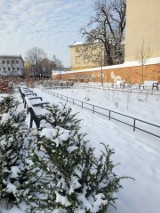 Kraków. Park im. Wisławy Szymborskiej idealny na zimowy spacer. Zobaczcie jak tu spokojnie...