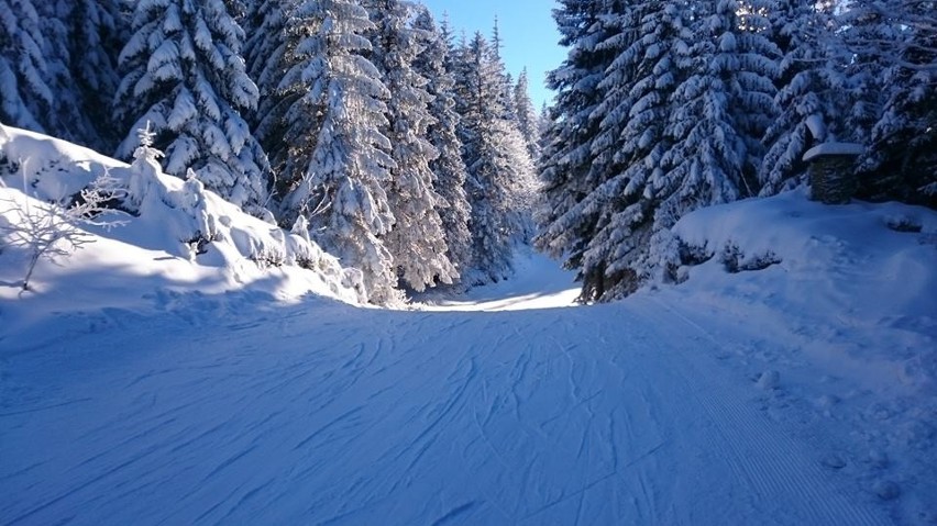 Boże Narodzenie na nartach w Beskidach [ZAPOWIEDŹ WIDEO]