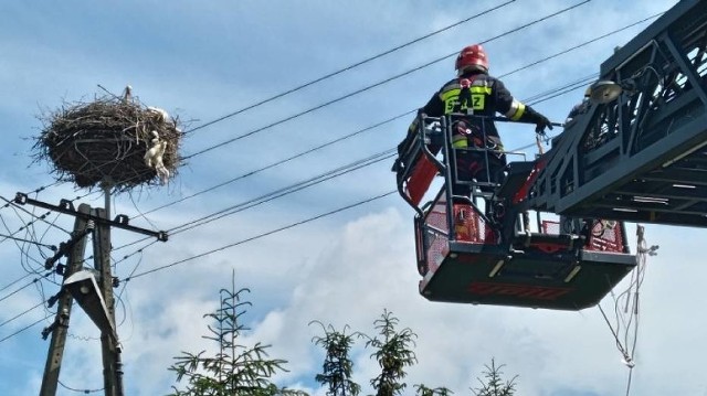 Strażacy na ratunek młodym bocianom!