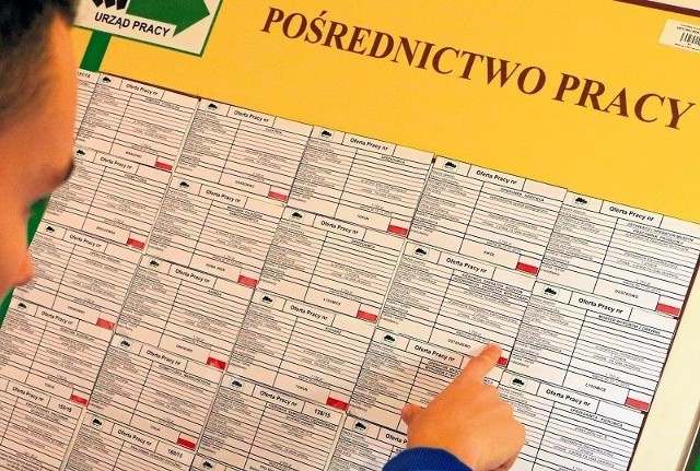 W sierpniu bezrobocie według danych PUP wyniosło w Lubuskiem 10,8 proc. W rzeczywistości w II kwartale to tylko 6,4 proc.