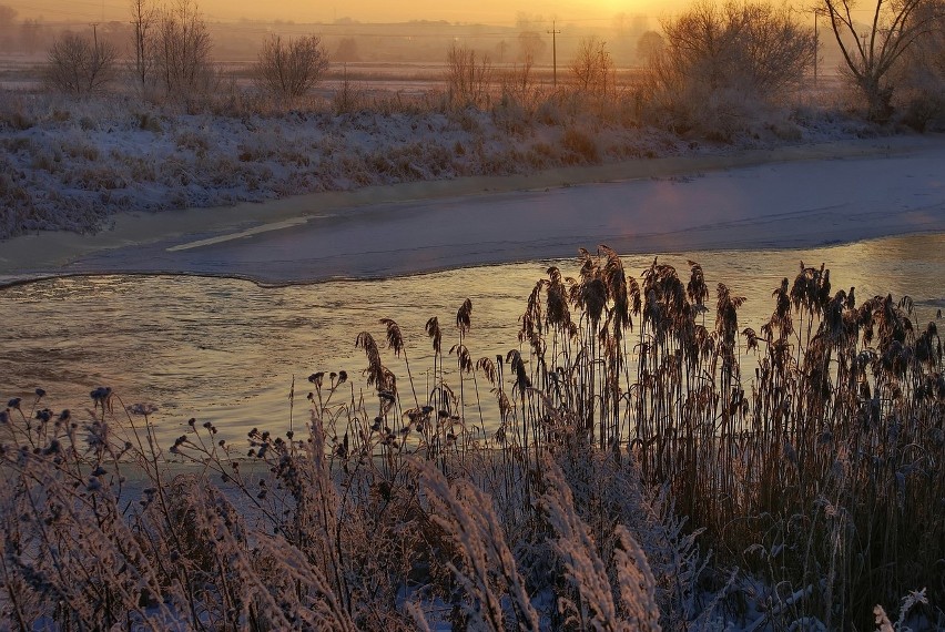 Piękne Podlasie w obiektywie użytkowników Instagram.