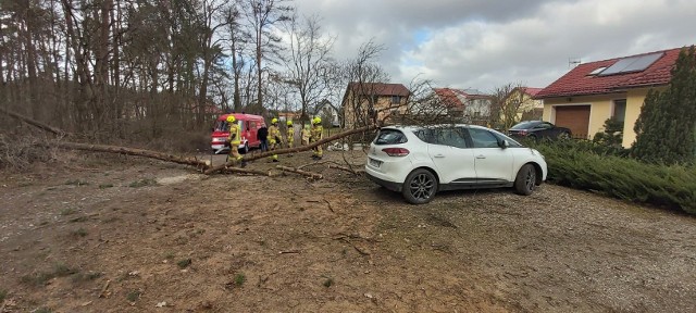 Drzewo powaliło się na auto