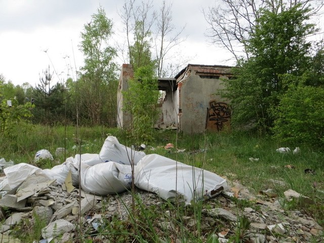 Ktoś stale wywozi śmieci do lasu na drodze do starej papierni w Żaganiu.