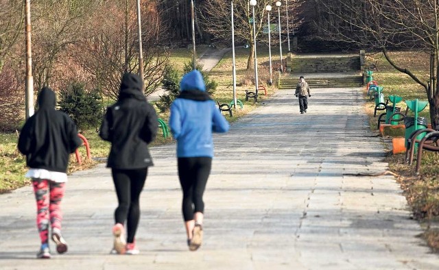 Projekt przewiduje także wymianę nawierzchni na głównym wejściu do kompleksu od strony ul. Rolnej; deptak będzie odwodniony, staną tu ławki, stojaki na rowery, kosze