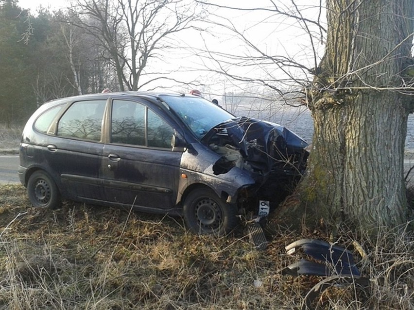 W Dobrojewie pod Skwierzyną osobowy renault roztrzaskał się...